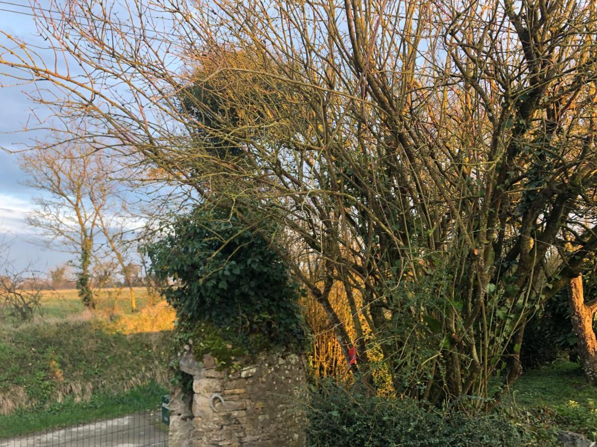 Gite Normandie Omaha Beach 콜레빌 쉬르메흐 외부 사진